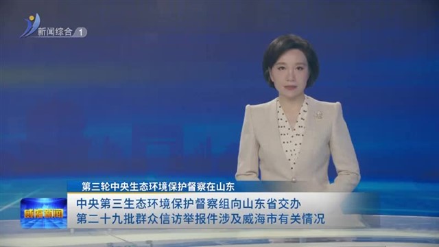 中央第三生态环境保护督察组向山东省交办第二十九批群众信访举报件涉及威海市有关情况