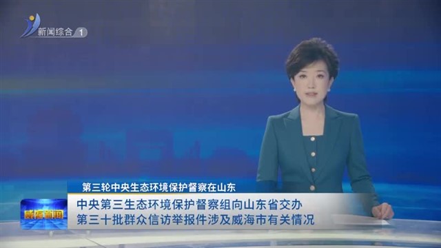 中央第三生态环境保护督察组向山东省交办第三十批群众信访举报件涉及威海市有关情况