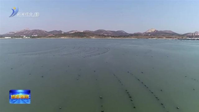 金融活水“破冰” 助力牡蛎产业增收