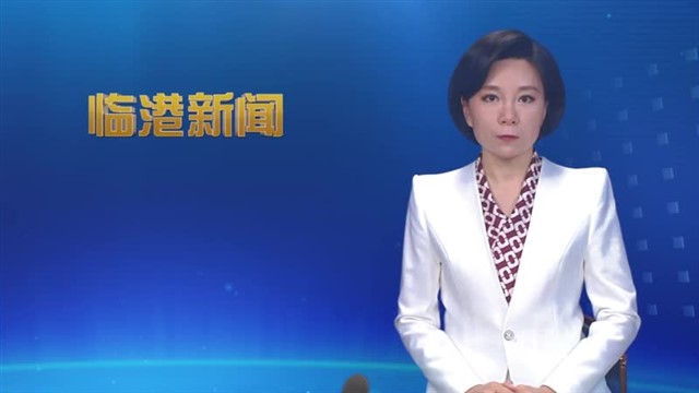 临港新闻2025-06-28