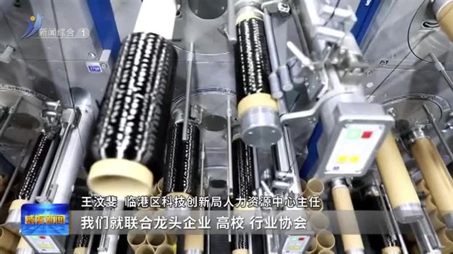 从“模糊培养”到“精准育人”临港区搭建全方位人才培养“强磁场”