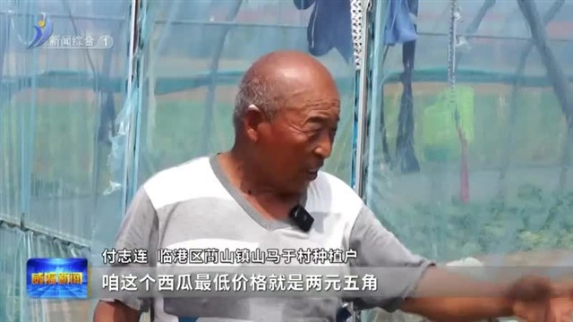 瓜田里的“共富密码”