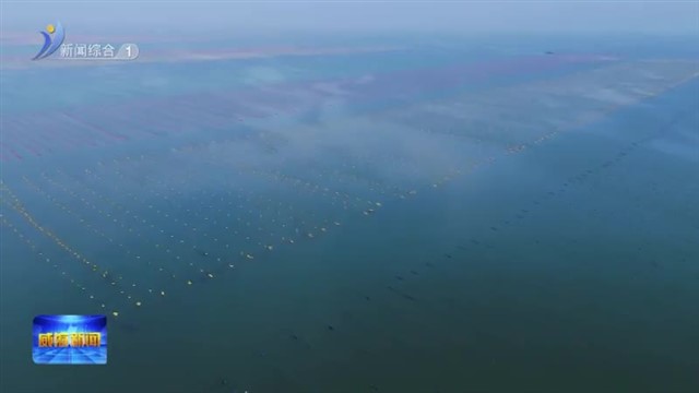 向海图强 科技耕海 打造海洋经济“蓝色引擎”