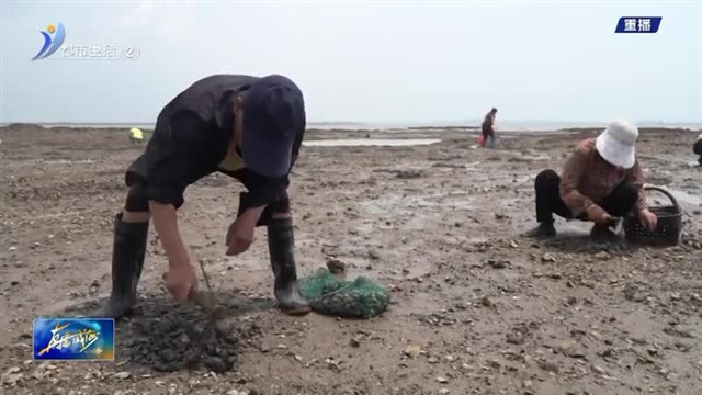 文登泽库：山海交融点燃夏日激情 文旅融合赋能乡村振兴