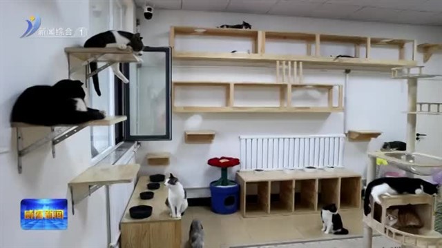 关注动物 爱与文明同行