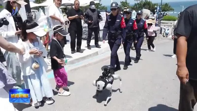 暑期档 高区首只警用机器狗上岗巡逻