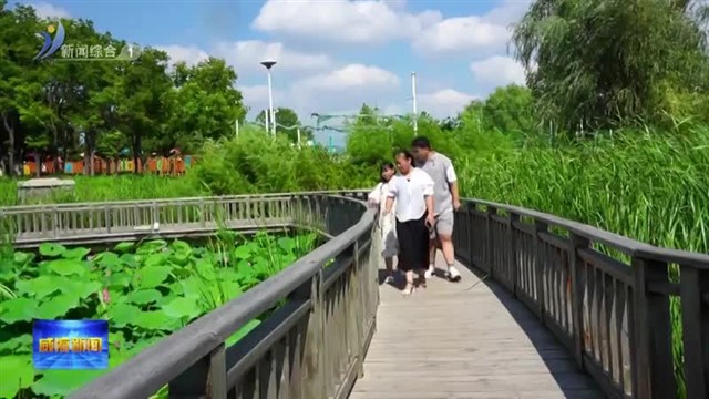 “荷”你有约！羊亭河公园荷花绽放美如画