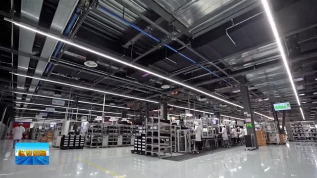 临港新闻2025-07-05