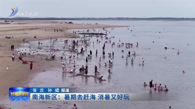 南海新区：暑期去赶海 消暑又好玩