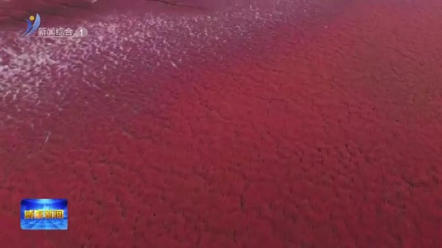 潮汐作画 红滩染夏韵