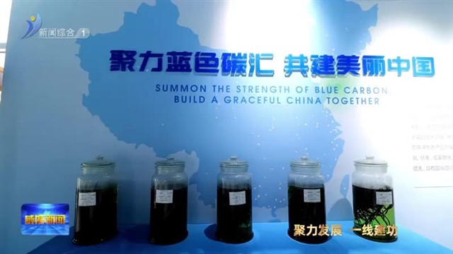 擎党建之旗 锻青年尖兵