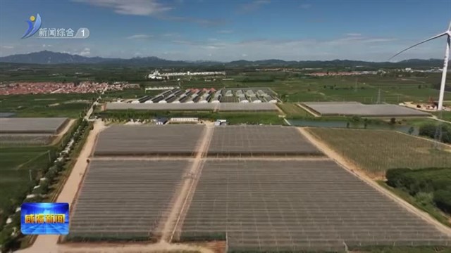 项目建设激活产业新生态