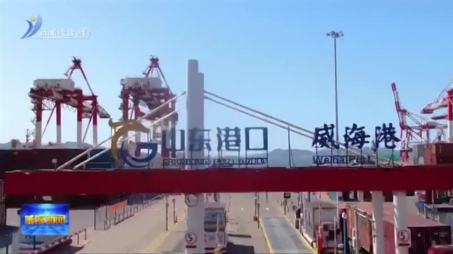 破茧之力：奋斗唤醒港口生命力