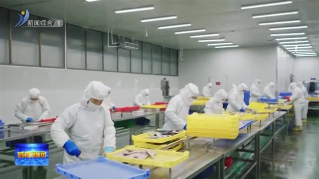 权威发布|威海构建“1加3加N”渔业品牌体系 累计培育14个国字号品牌荣誉