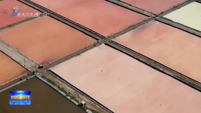 南海新区：古法盐田铺展五彩画卷