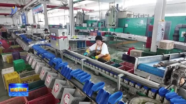 威海检察：法治“蓝”盾 守护蔚蓝海岸线