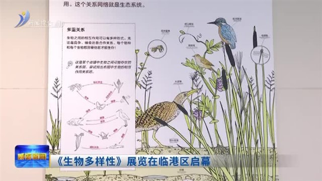 《生物多样性》展览在临港区启幕