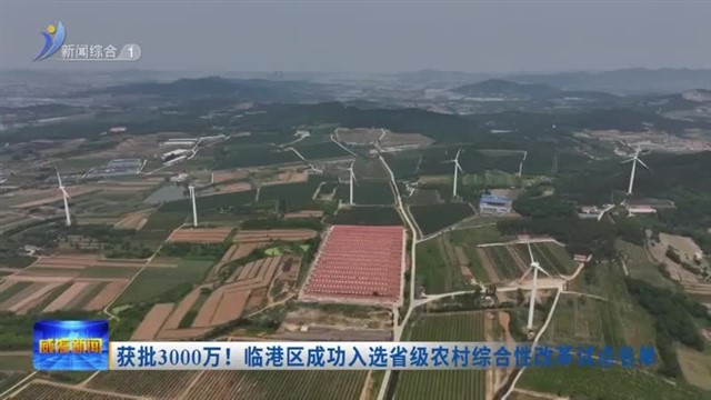 获批3000万！临港区成功入选省级农村综合性改革试点名单