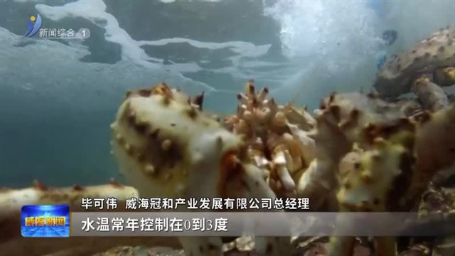 科技囤鲜保供双节