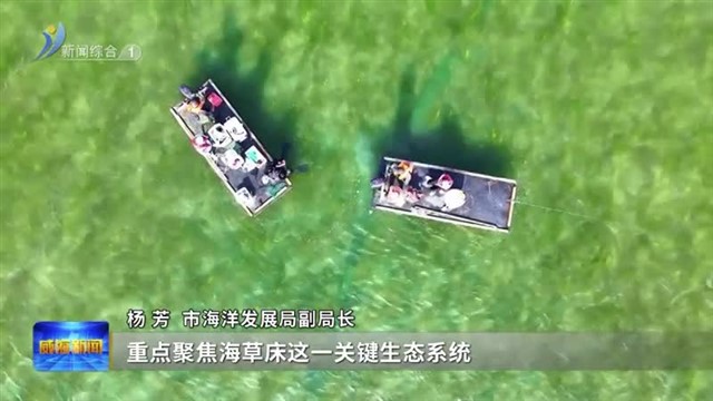 权威发布 《2024年威海市海洋生态预警监测公报》发布