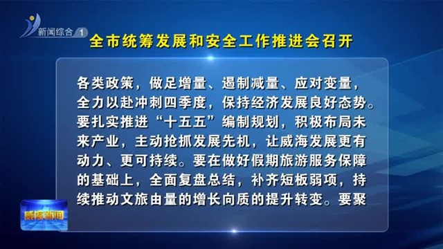 全市统筹发展和安全工作推进会召开