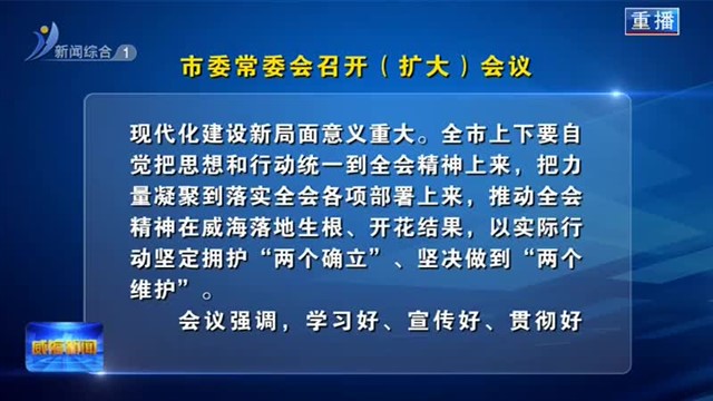 市委常委会召开（扩大）会议