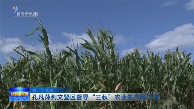 孔凡萍到文登区督导“三秋”农业生产等工作