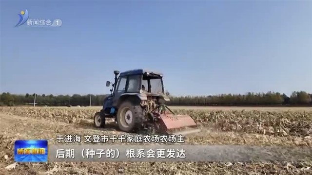 秸秆还田 科学播种稳产能