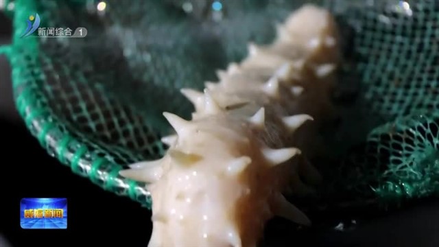 洋德生物：破解“深海白金”培育密码