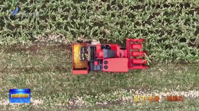 抢农时！党员干部冲上“金色赛道”