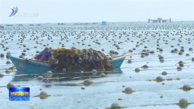 智能监测赋能企业提质增效