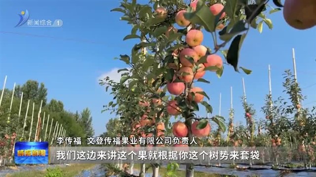 “金奖苹果”是“算”出来的！