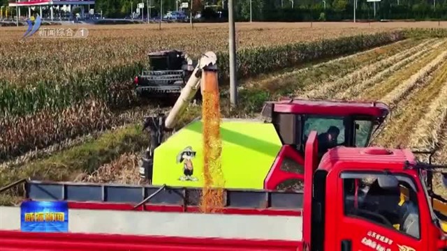 百亩良田“机”收忙 减损增效保归仓