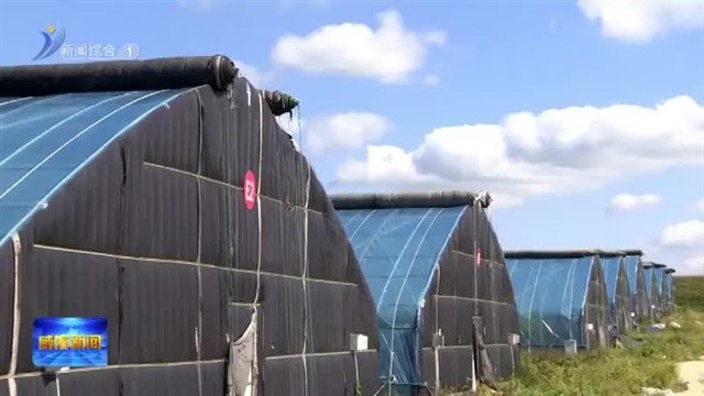 宋知远：精准出招激活乡村振兴“一池春水”