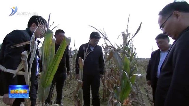 邓勇实地调研“三秋”生产工作