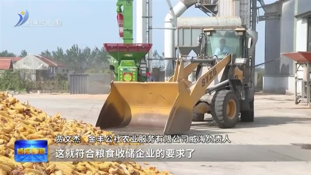 山东农担威海管理中心助力“三秋”攻坚战