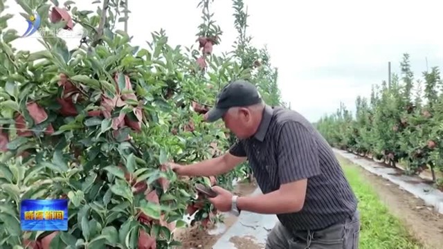 陆海协同 荣成打造沿海农业绿色转型新高地