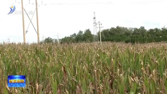 孔凡萍到荣成市督导“三秋”农业生产和海上安全工作