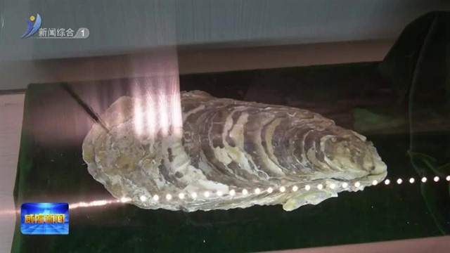 乡村博物馆“热”起来 乡村振兴“活”起来