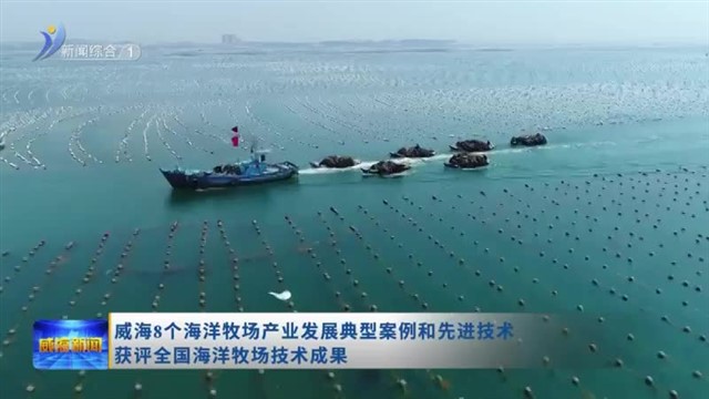 威海8个海洋牧场产业发展典型案例和先进技术获评全国海洋牧场技术成果
