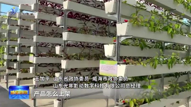 王加平：以新媒体为犁 深耕乡村振兴沃土