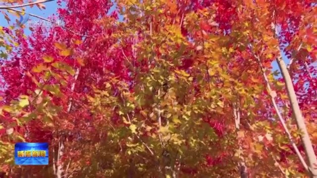 “双林”竞艳   醉入画屏