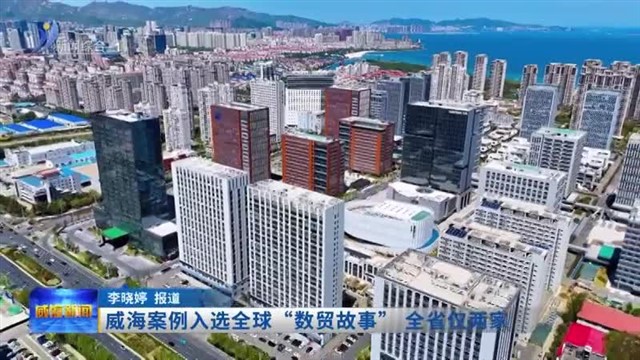威海案例入选全球“数贸故事”全省仅两家