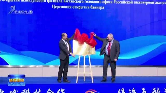 2025年高层次外国专家齐鲁行暨俄罗斯工程院（威海）技术对接交流会举办