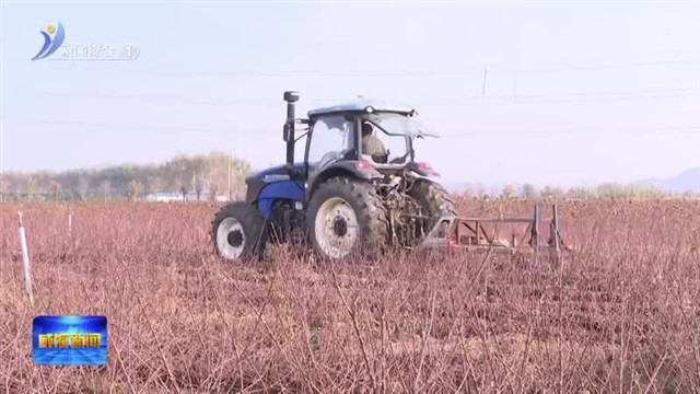 苹果变“金”果 临港区“种”出十亿级产业链