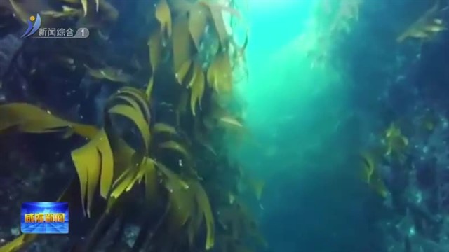 以创新之力 激活海洋产业新动能