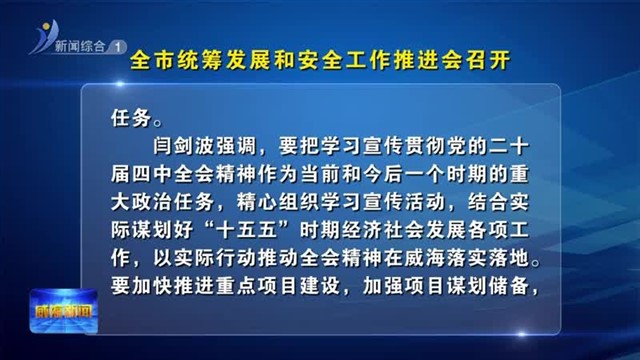 全市统筹发展和安全工作推进会召开