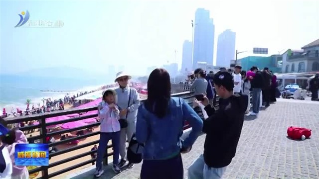 沉浸式文旅焕新 解锁滨海游玩新体验