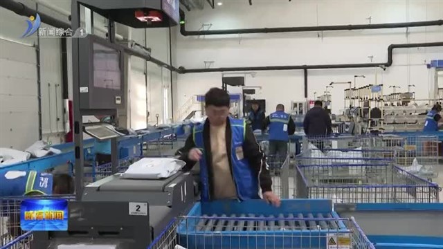 临港区：“双十一”跨境包裹“7日达”日韩 国货出海跑出加速度