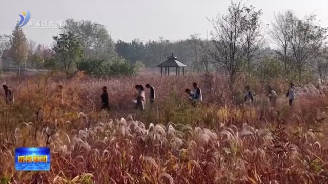 南海高中学子湿地研学厚植爱乡情